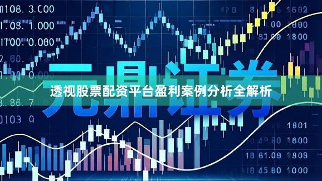 透视股票配资平台盈利案例分析全解析