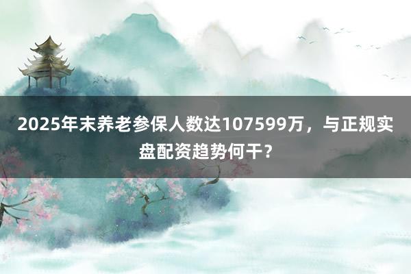 2025年末养老参保人数达107599万，与正规实盘配资趋势何干？