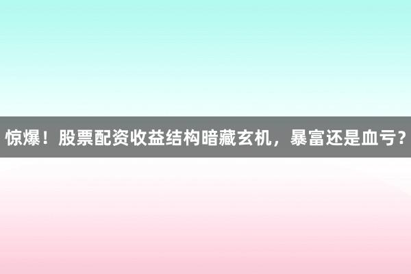 惊爆！股票配资收益结构暗藏玄机，暴富还是血亏？