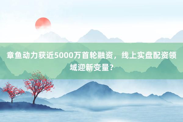 章鱼动力获近5000万首轮融资,线上实盘配资领域迎新变量?