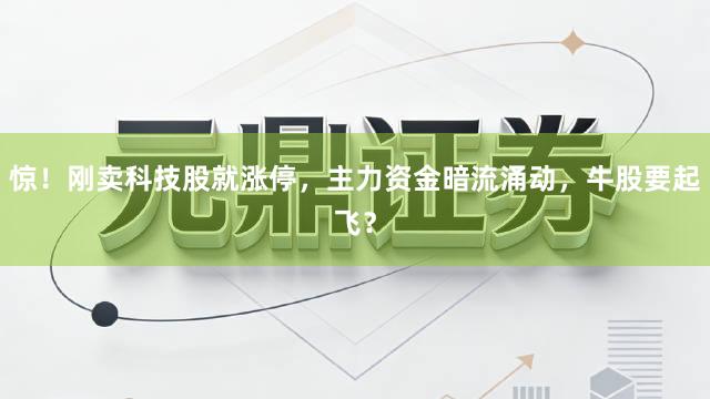 惊!刚卖科技股就涨停,主力资金暗流涌动,牛股要起飞?