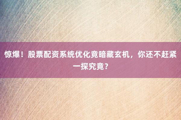 惊爆！股票配资系统优化竟暗藏玄机，你还不赶紧一探究竟？