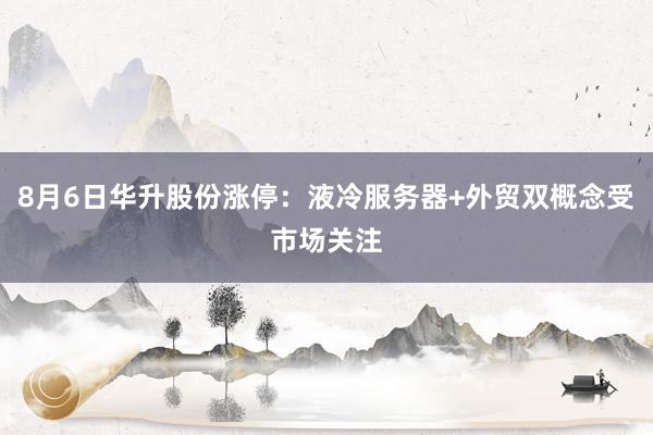 8月6日华升股份涨停：液冷服务器+外贸双概念受市场关注
