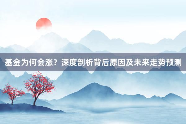 基金为何会涨？深度剖析背后原因及未来走势预测